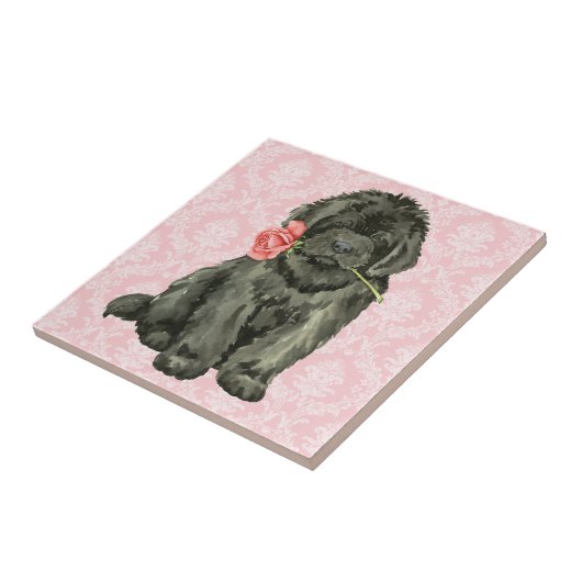 Valentijn Roos Newfoundland Tegeltje (Zijkant)