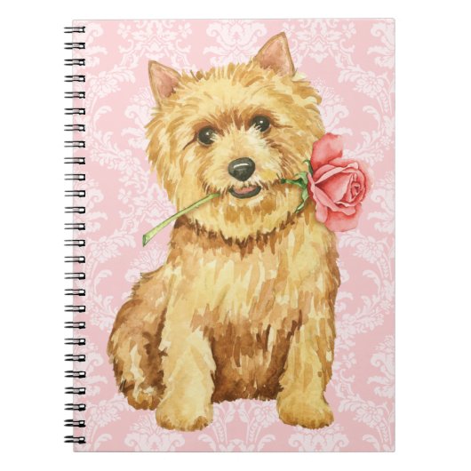 Valentijn Roos Norwich Terrier Notitieboek (Voorkant)