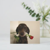 valentijn roos pointer feestdagenkaart (Staand voorkant)