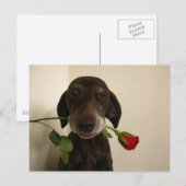 valentijn roos pointer feestdagenkaart (Voorkant / Achterkant)