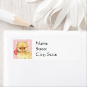 Valentijn Roos Pommeren Etiket (Insitu)