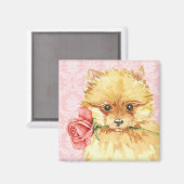 Valentijn Roos Pommeren Magneet (Voorkant / Achterkant)