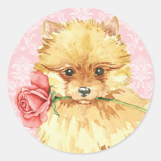 Valentijn Roos Pommeren Ronde Sticker (Voorkant)