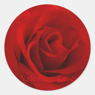 Valentijn Roos Ronde Sticker
