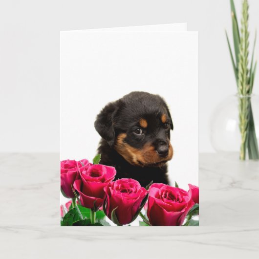 Valentijn Roos Rottweiler Puppy Feestdagen Kaart (Voorkant)