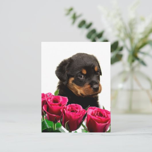 Valentijn Roos Rottweiler Puppy Feestdagenkaart (Staand voorkant)