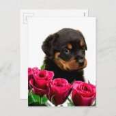 Valentijn Roos Rottweiler Puppy Feestdagenkaart (Voorkant / Achterkant)