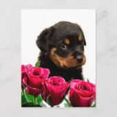 Valentijn Roos Rottweiler Puppy Feestdagenkaart (Voorkant)