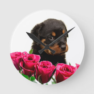 Valentijn Roos Rottweiler Puppy Ronde Klok