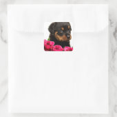 Valentijn Roos Rottweiler Puppy Vierkante Sticker (Tas)