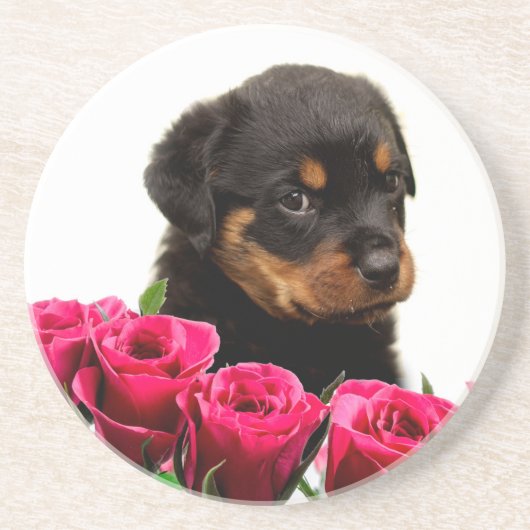 Valentijn Roos Rottweiler Puppy Zandsteen Onderzetter (Voorkant)
