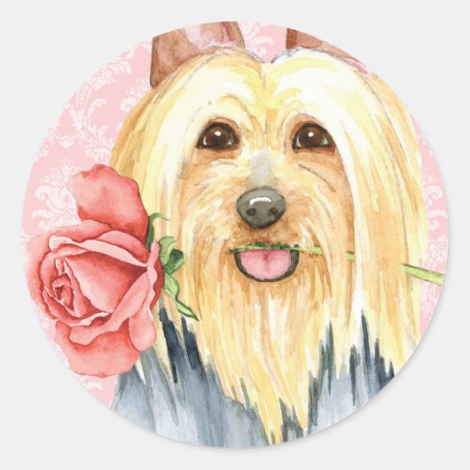 Valentijn Roos Silky Terrier Classic Round Sticker (Voorkant)