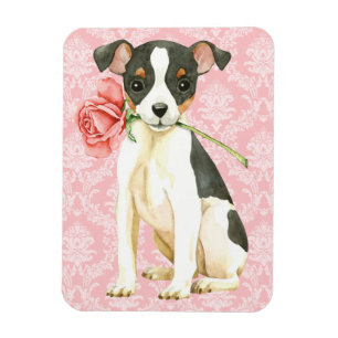 Valentijn Roos Speelgoed Fox Terrier Magneet
