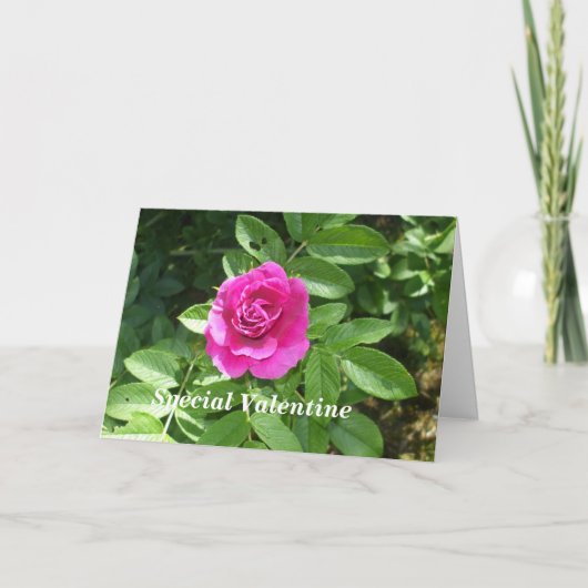 Valentijn Roos voor Iemand Special Feestdagen Kaart (Voorkant)