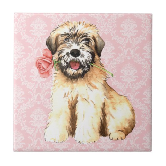 Valentijn Roos Wheaten Tegeltje (Voorkant)