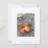 Valentijn, Rustiek,  handgemaakt hart, Vlakke kaar Notitiekaartje (Achterkant)