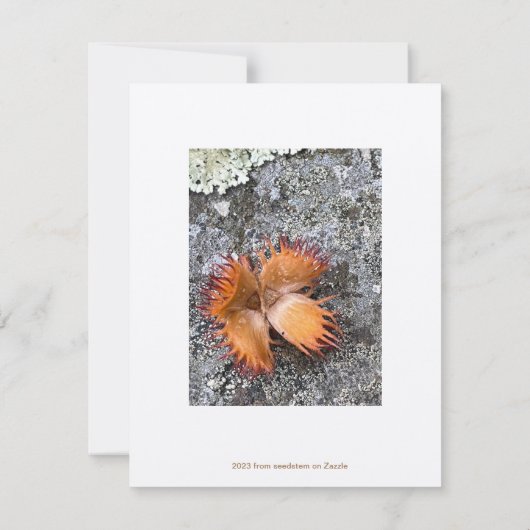 Valentijn, Rustiek, handgemaakt hart, Vlakke kaart Notitiekaartje (Achterkant)