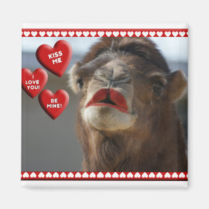 VALENTIJN VAN DE CAMEL - WEKKENDE LIPSTICK - KRIJG MAGNEET