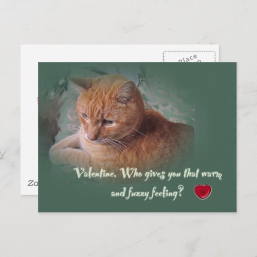 Valentijn van de kat feestdagenkaart (Voorkant / Achterkant)