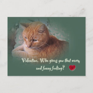 Valentijn van de kat feestdagenkaart