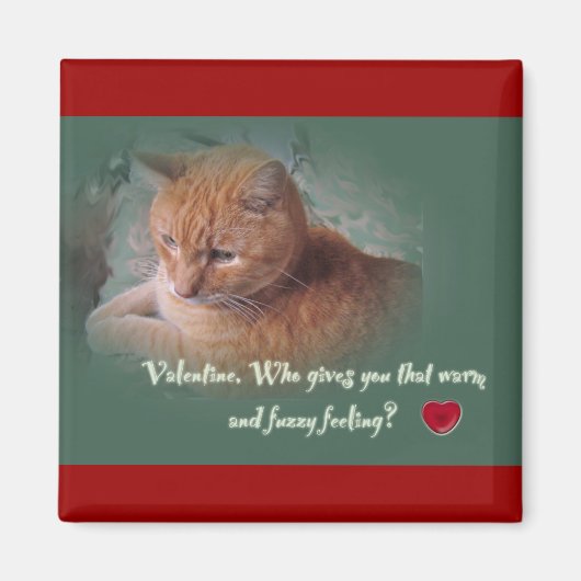 Valentijn van de kat magneet (Voorkant)