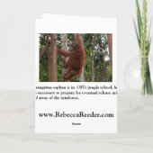 Valentijn van de minnaar feestdagen kaart (Achterkant)