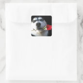 Valentijn van de soort Husky en Roos/Tango Dog Vierkante Sticker (Tas)