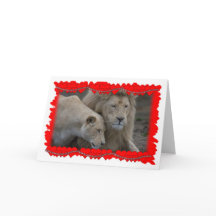 Valentijn van een Leeuw