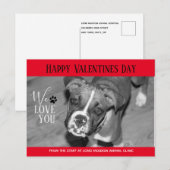 Valentijn Veterinary Holiday Cards Briefkaart (Voorkant / Achterkant)