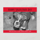 Valentijn Veterinary Holiday Cards Briefkaart (Voorkant)