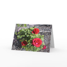 Valentijn voor een overleden man of vrouw