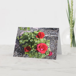 Valentijn voor een overleden man of vrouw feestdagen kaart