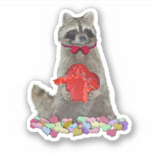 Valentijn Wasbeer Bandiet Sticker