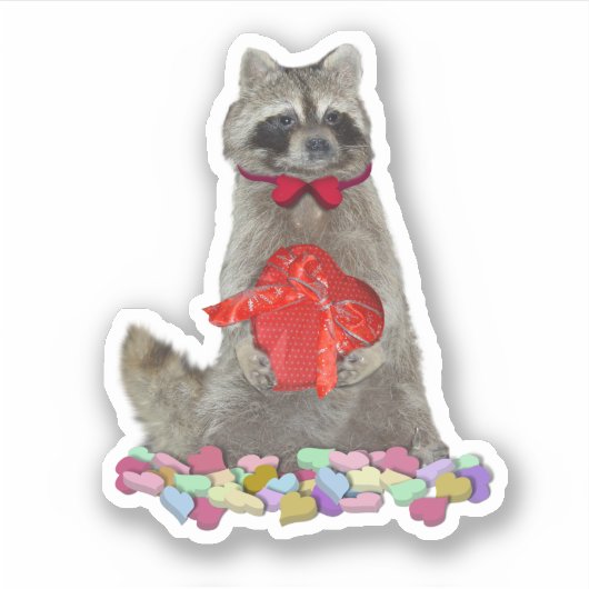 Valentijn Wasbeer Bandiet Sticker (Voorkant)