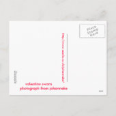 valentijn zwanen feestdagenkaart (Achterkant)
