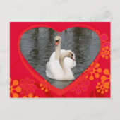 valentijn zwanen feestdagenkaart (Voorkant)