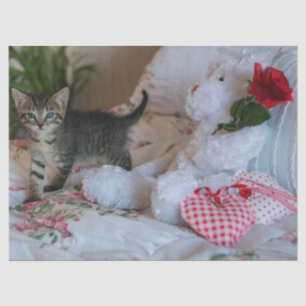 valentijnkat tissuepapier