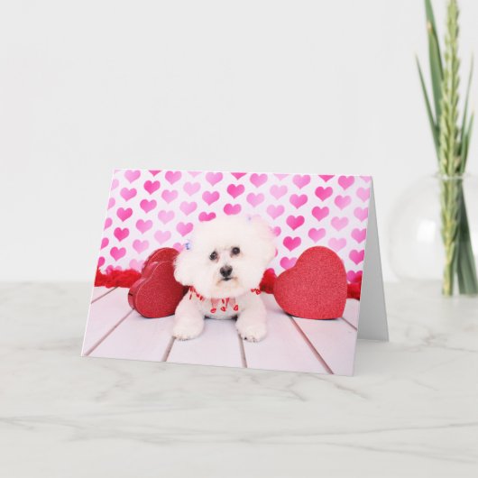 Valentijns - Bichon Frise - Lilly Feestdagen Kaart (Voorkant)