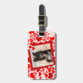 Valentijns  Border Collie Dog Hearts Bagagelabel (Voorkant verticaal)
