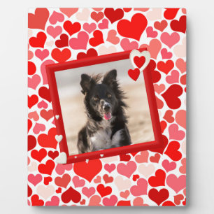 Valentijns  Border Collie Dog Hearts Fotoplaat