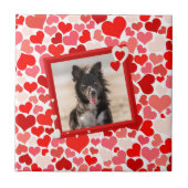 Valentijns  Border Collie Dog Hearts Tegeltje (Voorkant)