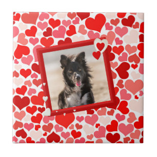 Valentijns  Border Collie Dog Hearts Tegeltje