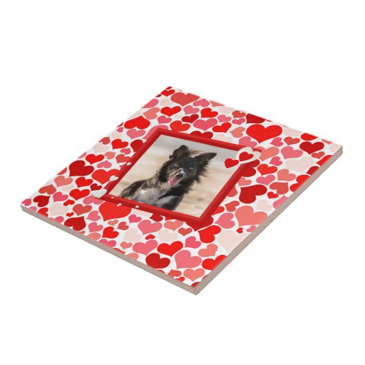Valentijns  Border Collie Dog Hearts Tegeltje (Zijkant)