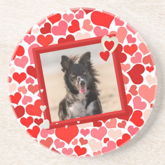 Valentijns  Border Collie Dog Hearts Zandsteen Onderzetter (Voorkant)