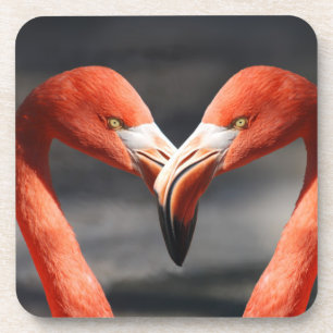 Valentijns Flamingo Bier Onderzetter