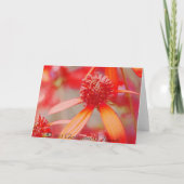 Valentijns' Floral Feestdagen Kaart (Achterkant)