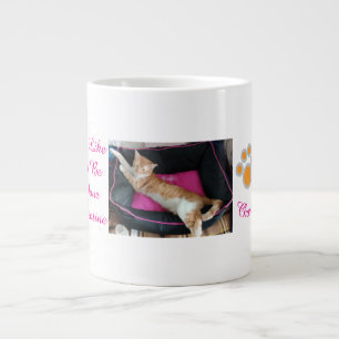 Valentijns Gemberkat Foto Fun Grote Koffiekop