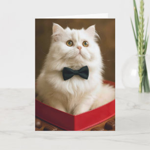 Valentijns Pers Kat In Sinterklaas Doos is vervang Kaart