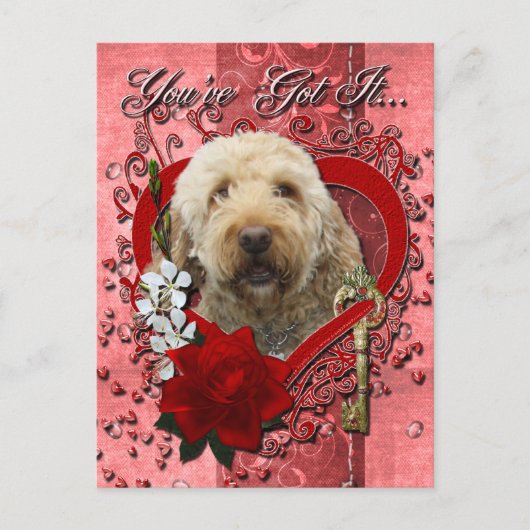 Valentijns - Sleutel aan Mijn Hart - GoldenDoodle Feestdagenkaart (Voorkant)