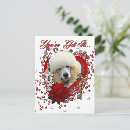 Valentijns - Sleutel tot mijn hart - Poedel - Abri Feestdagenkaart (Staand voorkant)